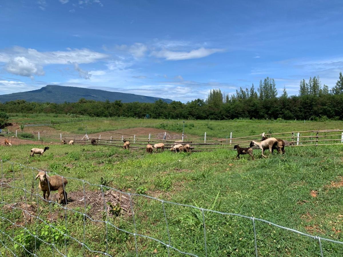 ฟาร์มแกะภูกระดึง Waraporn Valley Ban Nong Tum Bagian luar foto