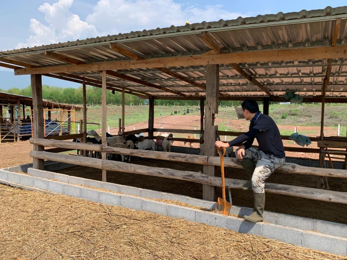 ฟาร์มแกะภูกระดึง Waraporn Valley Ban Nong Tum Bagian luar foto